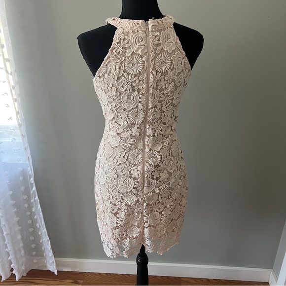 Love Poem Blush Pink Lace Mini Dress - Lulus - Picture 6 of 6